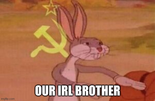 our | OUR IRL BROTHER | image tagged in our | made w/ Imgflip meme maker