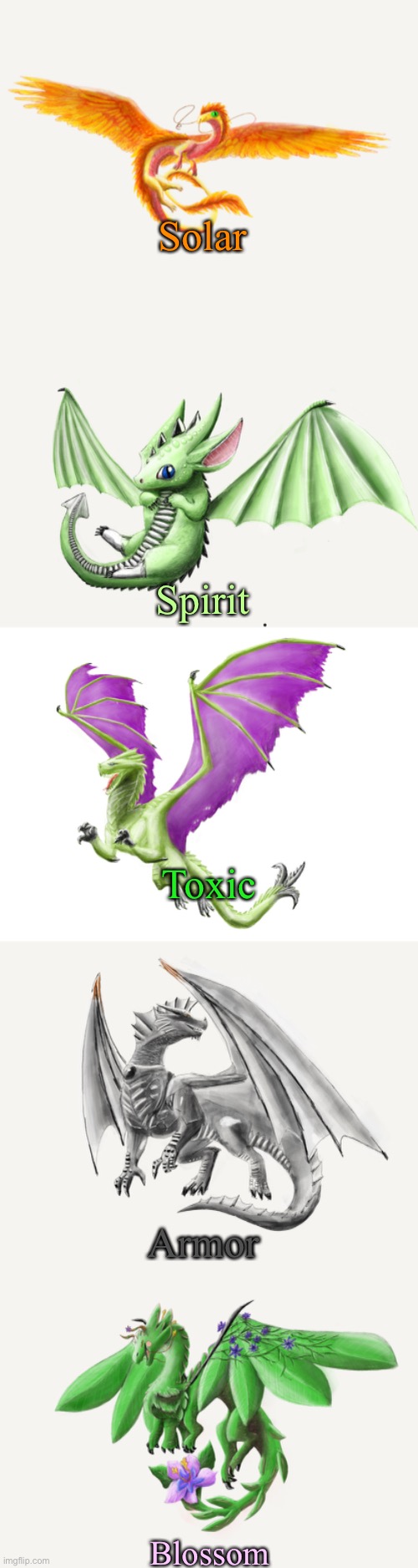 My dragon OCs! My dad drew them for me, so it’s not art stealing | Solar; Spirit; Toxic; Armor; Blossom | made w/ Imgflip meme maker