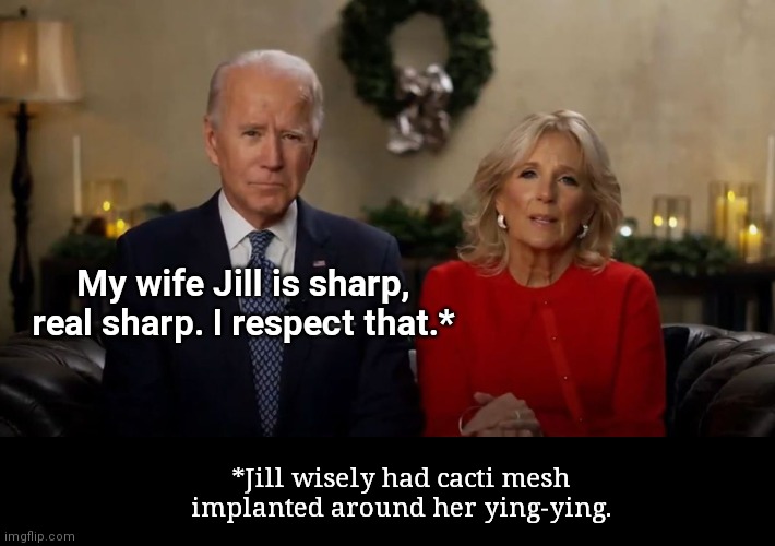 Joe and Jill Biden | My wife Jill is sharp, real sharp. I respect that.*; *Jill wisely had cacti mesh implanted around her ying-ying. | image tagged in joe and jill biden interview,creepy joe biden,political humor | made w/ Imgflip meme maker