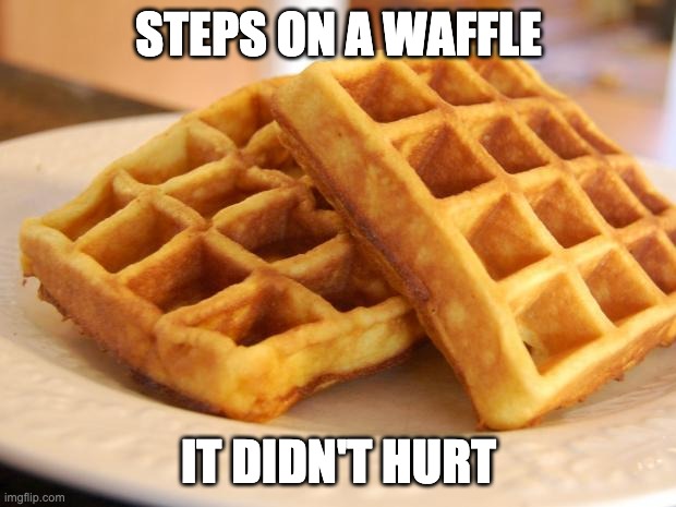 Essay Waffle | STEPS ON A WAFFLE IT DIDN'T HURT | image tagged in essay waffle | made w/ Imgflip meme maker