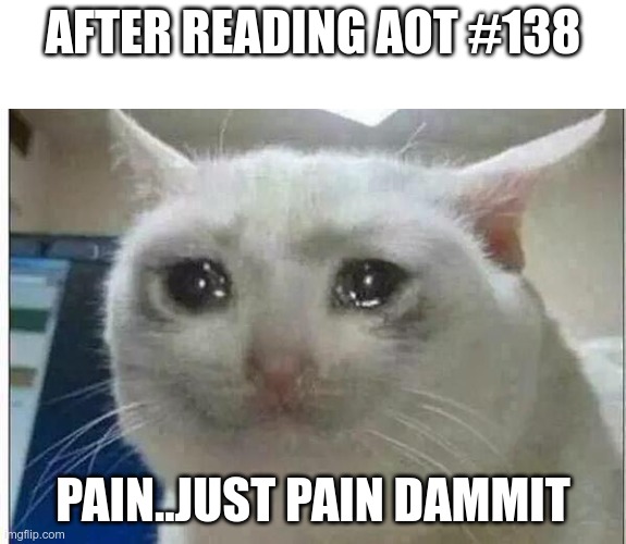 Attack on Titan 138 | AFTER READING AOT #138; PAIN..JUST PAIN DAMMIT | image tagged in crying cat,aot,eren,mikasa,snk | made w/ Imgflip meme maker