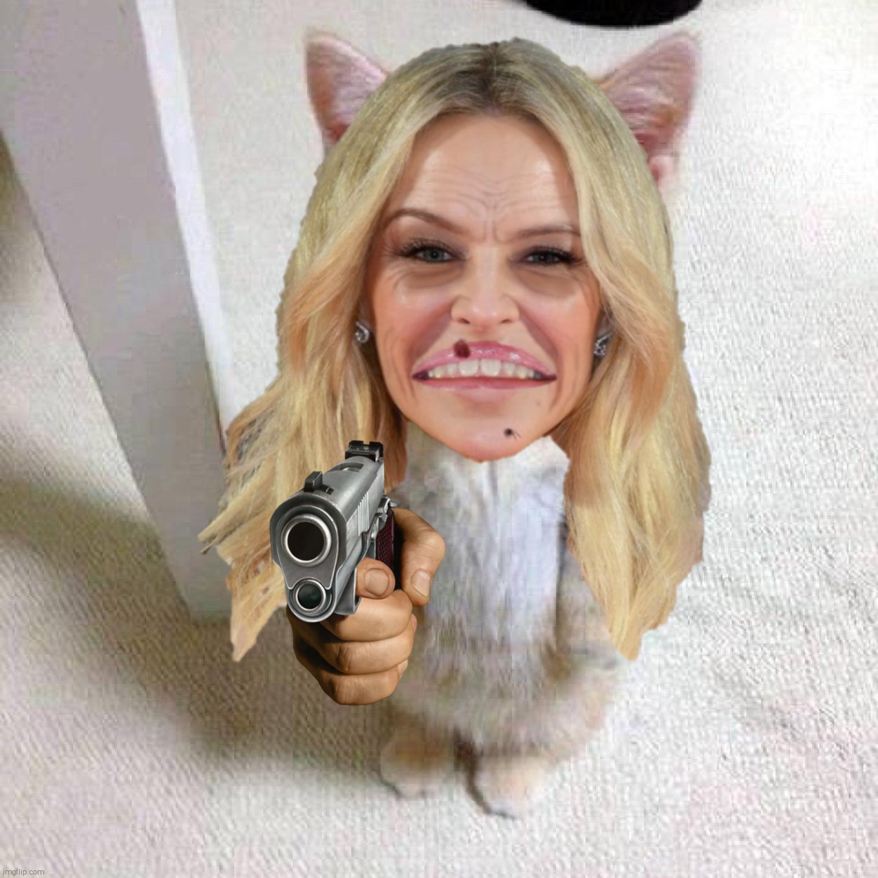 Singing  wasn't paying the bills, begging wasn't  paying the bills, will stealing pay the bills? These are hard times for us all | image tagged in cute cat,kylie minogue hideous old bag,pointing gun,kylie minogue,kylieminoguesucks,crossover templates | made w/ Imgflip meme maker
