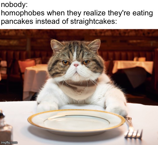 (I couldn't find better template) | nobody:
homophobes when they realize they're eating pancakes instead of straightcakes: | image tagged in hungry cat | made w/ Imgflip meme maker