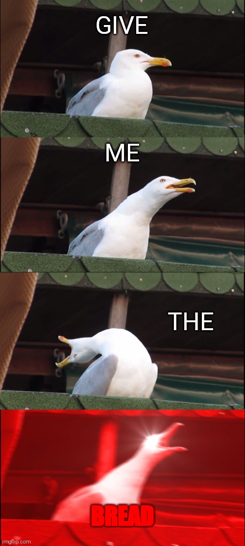 Give him the bread | GIVE; ME; THE; BREAD | image tagged in memes,inhaling seagull | made w/ Imgflip meme maker