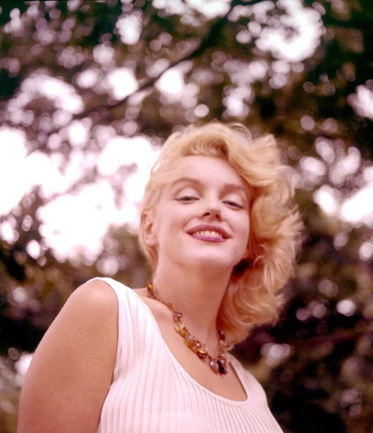 High Quality Marilyn Monroe smile Blank Meme Template