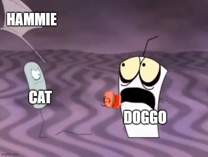 Master Shake meeting Jerry and his axe | CAT DOGGO HAMMIE | image tagged in master shake meeting jerry and his axe | made w/ Imgflip meme maker