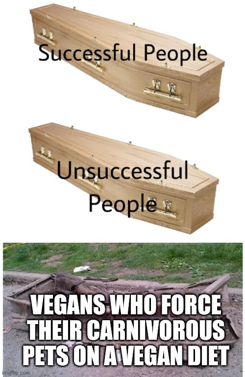 Coffin Meme #1 | VEGANS WHO FORCE THEIR CARNIVOROUS PETS ON A VEGAN DIET | image tagged in coffin meme | made w/ Imgflip meme maker