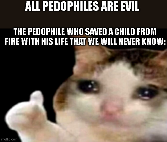 Sad cat thumbs up | ALL PEDOPHILES ARE EVIL; THE PEDOPHILE WHO SAVED A CHILD FROM FIRE WITH HIS LIFE THAT WE WILL NEVER KNOW: | image tagged in sad cat thumbs up | made w/ Imgflip meme maker