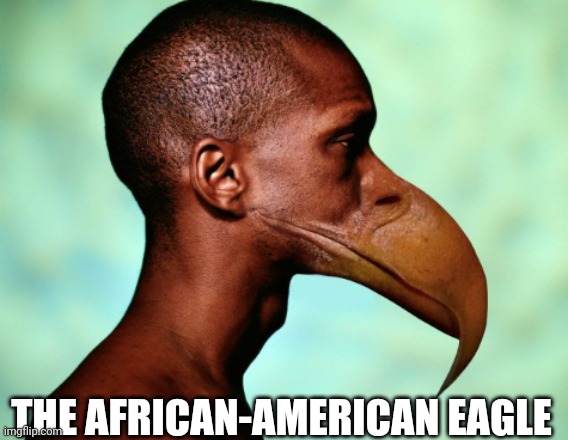 THE AFRICAN-AMERICAN EAGLE | made w/ Imgflip meme maker