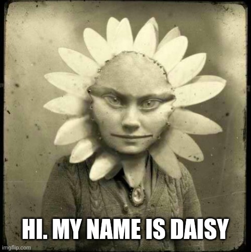 HI. MY NAME IS DAISY | image tagged in lol | made w/ Imgflip meme maker