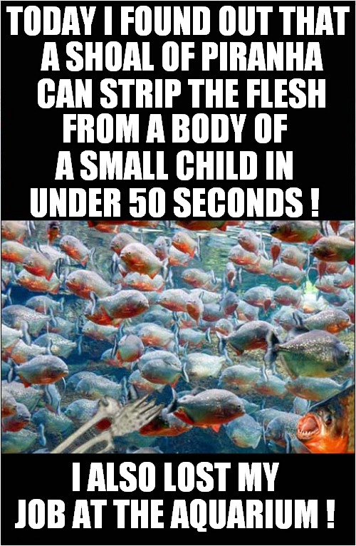 Piranha Experiment ! | TODAY I FOUND OUT THAT; A SHOAL OF PIRANHA CAN STRIP THE FLESH; FROM A BODY OF A SMALL CHILD IN UNDER 50 SECONDS ! I ALSO LOST MY JOB AT THE AQUARIUM ! | image tagged in piranha,dark humour | made w/ Imgflip meme maker