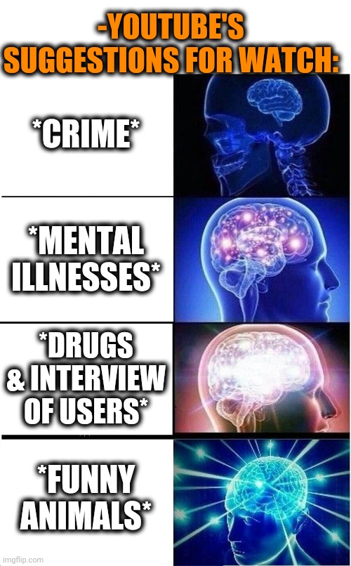 -As not sane. | -YOUTUBE'S SUGGESTIONS FOR WATCH:; *CRIME*; *MENTAL ILLNESSES*; *DRUGS & INTERVIEW OF USERS*; *FUNNY ANIMALS* | image tagged in memes,expanding brain,youtuber,important videos,alien meeting suggestion,violence | made w/ Imgflip meme maker