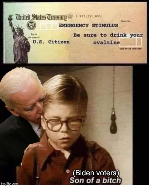 (Biden voters) | image tagged in memes,joe biden,creepy joe biden,politics lol,catfish,suckers | made w/ Imgflip meme maker