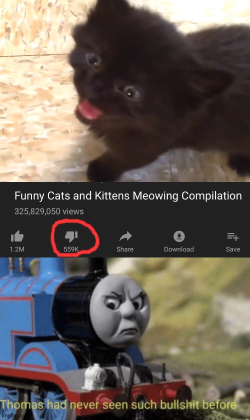 Why those dislikes... | image tagged in thomas had never seen such bullshit before,memes,funny,cats,dislikes,gifs | made w/ Imgflip meme maker