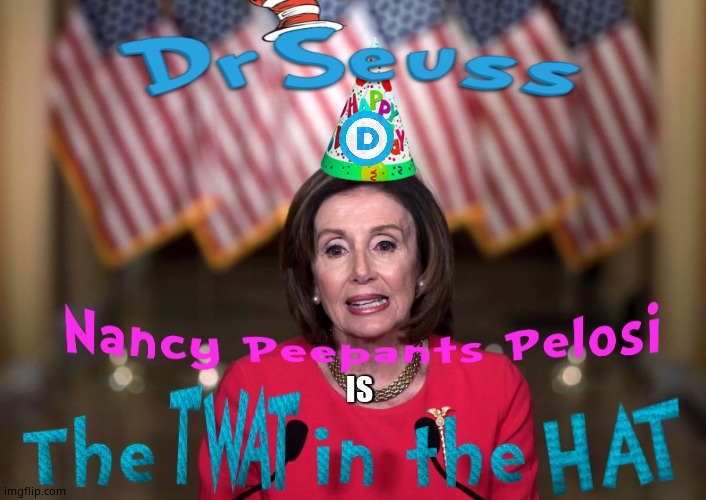 Nancypants | IS | image tagged in nancy pelosi,memes,funny memes,fun,political meme | made w/ Imgflip meme maker