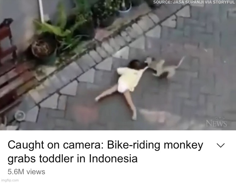Reject Humanity, return to Monke | made w/ Imgflip meme maker