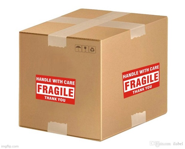 Fragile | image tagged in fragile | made w/ Imgflip meme maker