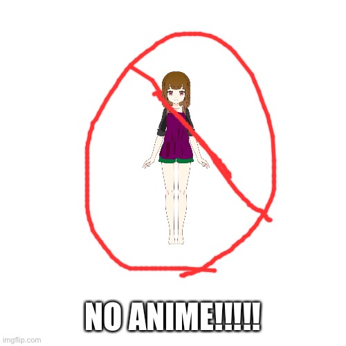 NO ANIME!!!!! | image tagged in anime sucks,anime is trash,anime,is,bad | made w/ Imgflip meme maker