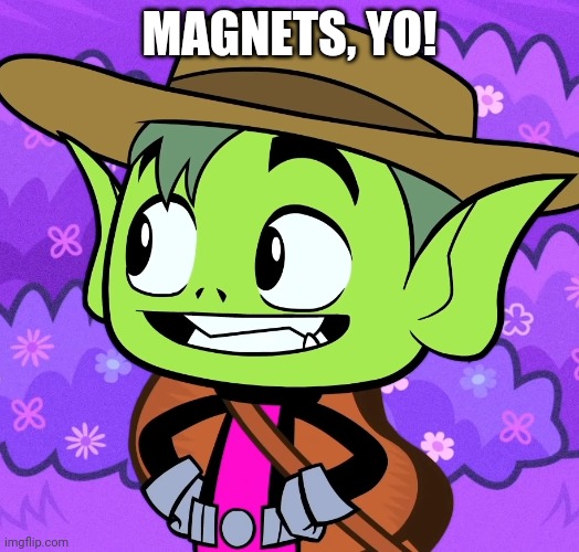 Cowboy Beast Boy (TTG) | MAGNETS, YO! | image tagged in cowboy beast boy ttg | made w/ Imgflip meme maker