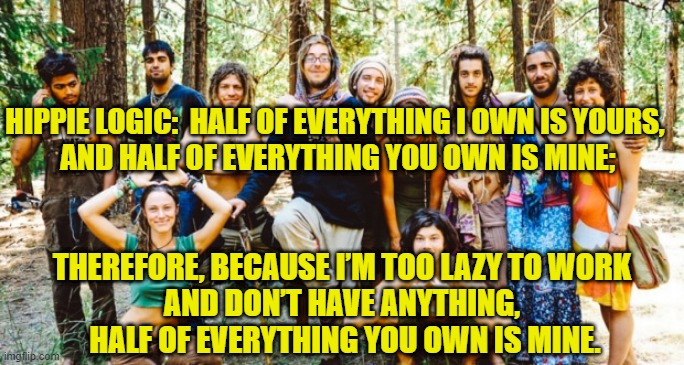 Hippie Logic | HIPPIE LOGIC:  HALF OF EVERYTHING I OWN IS YOURS,
 AND HALF OF EVERYTHING YOU OWN IS MINE;; THEREFORE, BECAUSE I’M TOO LAZY TO WORK
AND DON’T HAVE ANYTHING,
 HALF OF EVERYTHING YOU OWN IS MINE. | image tagged in hippie | made w/ Imgflip meme maker