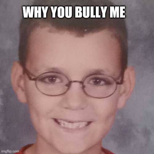 Why you bully me? | WHY YOU BULLY ME | image tagged in funny,memes,imgflip,repost | made w/ Imgflip meme maker