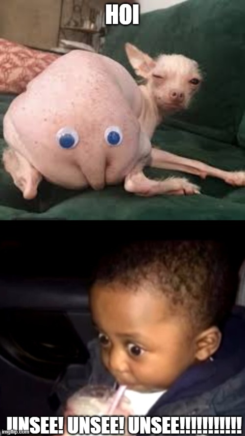 unsee juice | HOI; UNSEE! UNSEE! UNSEE!!!!!!!!!!! | image tagged in unsee juice | made w/ Imgflip meme maker