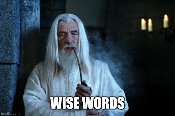 Wise words are spoken  | WISE WORDS | image tagged in wise words are spoken | made w/ Imgflip meme maker