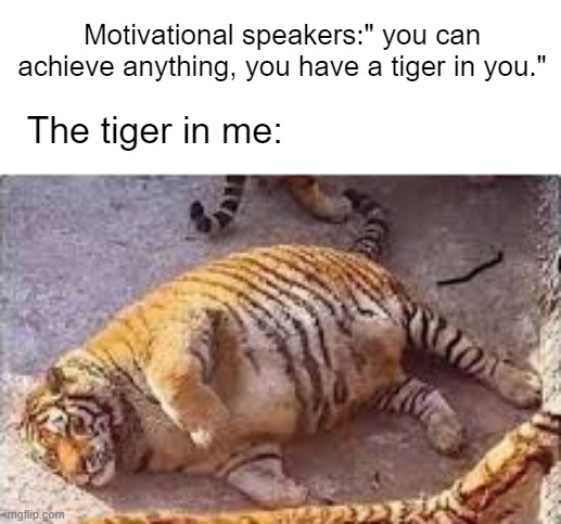 Self burn (this makes 2 self burns so far) | Motivational speakers:" you can achieve anything, you have a tiger in you."; The tiger in me: | image tagged in self burn | made w/ Imgflip meme maker