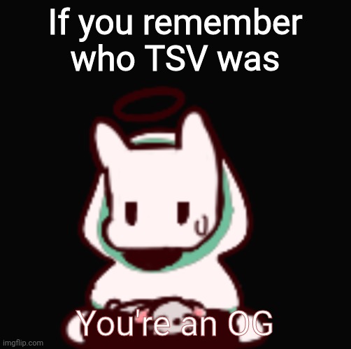 He was a douche in short | If you remember who TSV was; You're an OG | image tagged in you aren't very smart are you | made w/ Imgflip meme maker