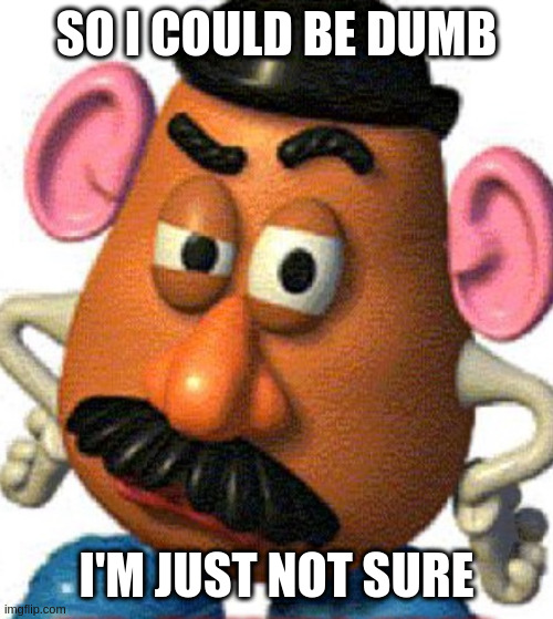 Mr Eggplant Head | SO I COULD BE DUMB; I'M JUST NOT SURE | image tagged in mr eggplant head | made w/ Imgflip meme maker