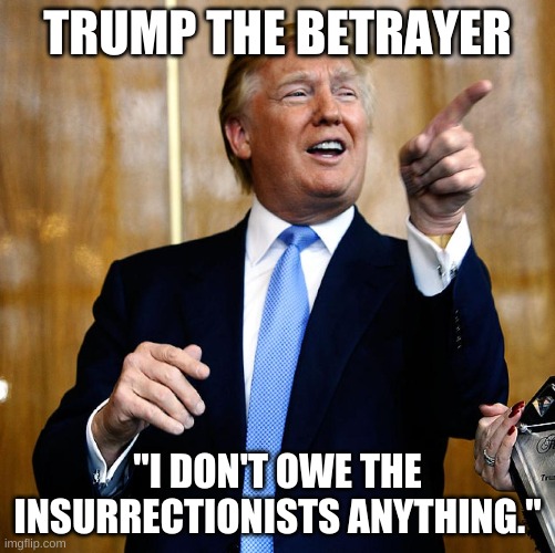 Trump the Betrayer - I don't owe the Insurrectionists anything | TRUMP THE BETRAYER; "I DON'T OWE THE INSURRECTIONISTS ANYTHING." | image tagged in trump,betrayal,insurrection,capitol riot,treason,useful idiots | made w/ Imgflip meme maker