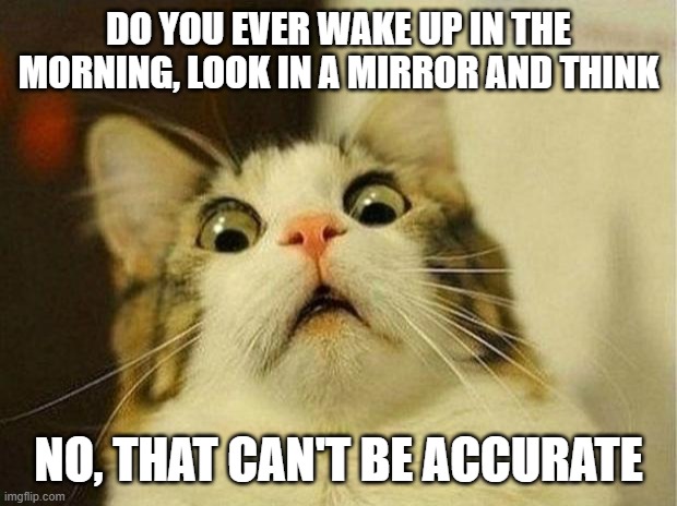 Scared Cat Meme | DO YOU EVER WAKE UP IN THE MORNING, LOOK IN A MIRROR AND THINK; NO, THAT CAN'T BE ACCURATE | image tagged in memes,scared cat | made w/ Imgflip meme maker