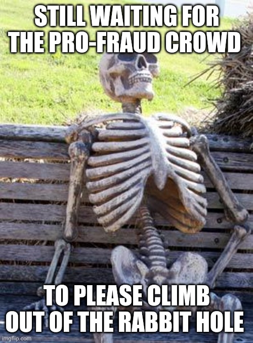 Waiting Skeleton Meme | STILL WAITING FOR THE PRO-FRAUD CROWD TO PLEASE CLIMB OUT OF THE RABBIT HOLE | image tagged in memes,waiting skeleton | made w/ Imgflip meme maker