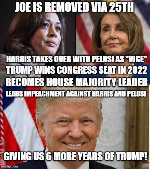 Run fir the house | JOE IS REMOVED VIA 25TH; HARRIS TAKES OVER WITH PELOSI AS "VICE"; TRUMP WINS CONGRESS SEAT IN 2022; BECOMES HOUSE MAJORITY LEADER; LEADS IMPEACHMENT AGAINST HARRIS AND PELOSI; GIVING US 6 MORE YEARS OF TRUMP! | image tagged in new plan | made w/ Imgflip meme maker