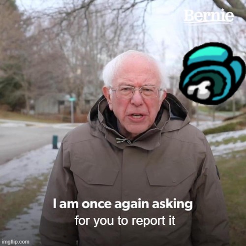 Bernie I Am Once Again Asking For Your Support Meme | for you to report it | image tagged in memes,bernie i am once again asking for your support | made w/ Imgflip meme maker