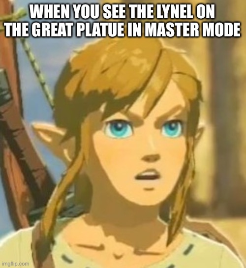 True | WHEN YOU SEE THE LYNEL ON THE GREAT PLATUE IN MASTER MODE | image tagged in offended link,zelda,the legend of zelda breath of the wild | made w/ Imgflip meme maker
