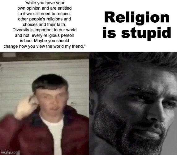 "while you have your own opinion and are entitled to it we still need to respect other people's religions and choices and their faith. Diver | made w/ Imgflip meme maker