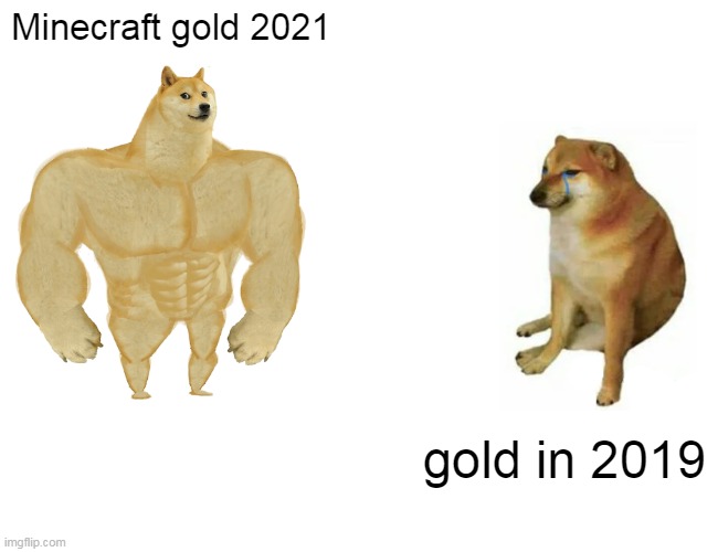 Buff Doge vs. Cheems | Minecraft gold 2021; gold in 2019 | image tagged in memes,buff doge vs cheems | made w/ Imgflip meme maker