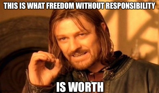 One Does Not Simply Meme | THIS IS WHAT FREEDOM WITHOUT RESPONSIBILITY IS WORTH | image tagged in memes,one does not simply | made w/ Imgflip meme maker