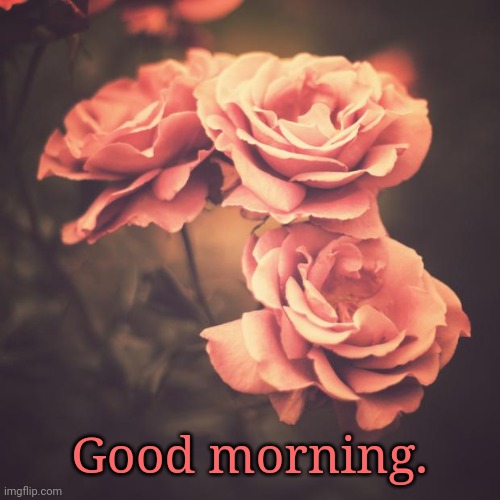I liked this picture | Good morning. | image tagged in beautiful vintage flowers | made w/ Imgflip meme maker