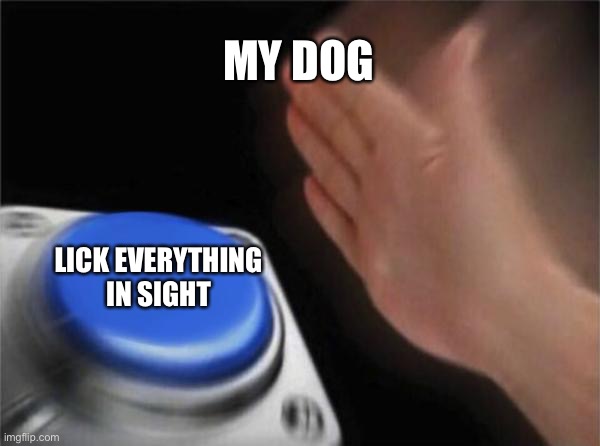 my dog really licks everything tho | MY DOG; LICK EVERYTHING IN SIGHT | image tagged in memes,blank nut button | made w/ Imgflip meme maker