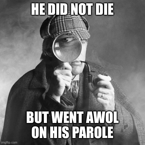 Sherlock Holmes | HE DID NOT DIE BUT WENT AWOL ON HIS PAROLE | image tagged in sherlock holmes | made w/ Imgflip meme maker