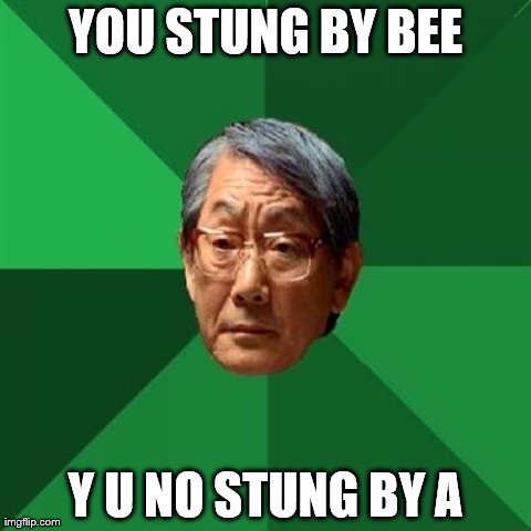 High Expectations Asian Father | YOU STUNG BY BEE Y U NO STUNG BY A | image tagged in memes,high expectations asian father | made w/ Imgflip meme maker