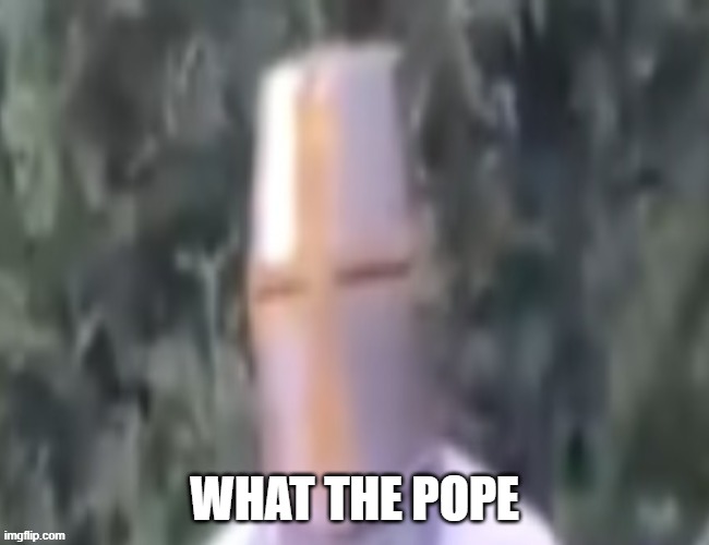 What The pope | WHAT THE POPE | image tagged in what the pope | made w/ Imgflip meme maker