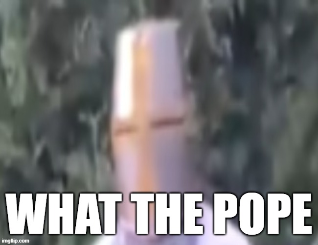 What The pope | WHAT THE POPE | image tagged in what the pope | made w/ Imgflip meme maker