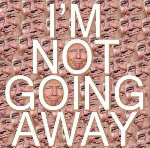 Donald Trump Is Not Going Away | image tagged in libtards,fear,donald trump | made w/ Imgflip meme maker