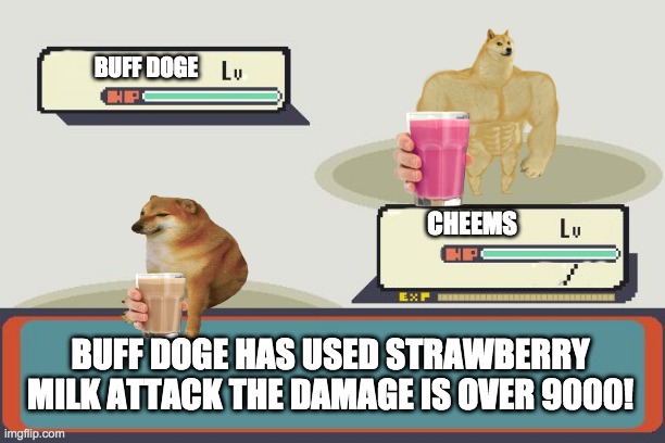 Pokemon Battle | BUFF DOGE; CHEEMS; BUFF DOGE HAS USED STRAWBERRY MILK ATTACK THE DAMAGE IS OVER 9000! | image tagged in pokemon battle | made w/ Imgflip meme maker
