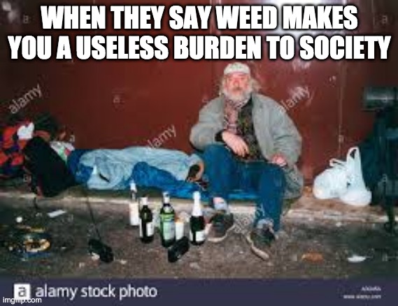 WHEN THEY SAY WEED MAKES YOU A USELESS BURDEN TO SOCIETY | image tagged in drugs | made w/ Imgflip meme maker