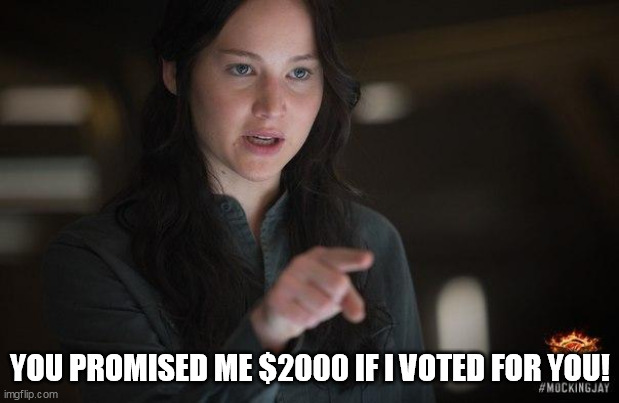 Demanding Katniss | YOU PROMISED ME $2000 IF I VOTED FOR YOU! | image tagged in demanding katniss | made w/ Imgflip meme maker