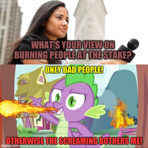 Interview | WHAT'S YOUR VIEW ON BURNING PEOPLE AT THE STAKE? | image tagged in spike,dragon,mlp,burned alive,interview | made w/ Imgflip meme maker